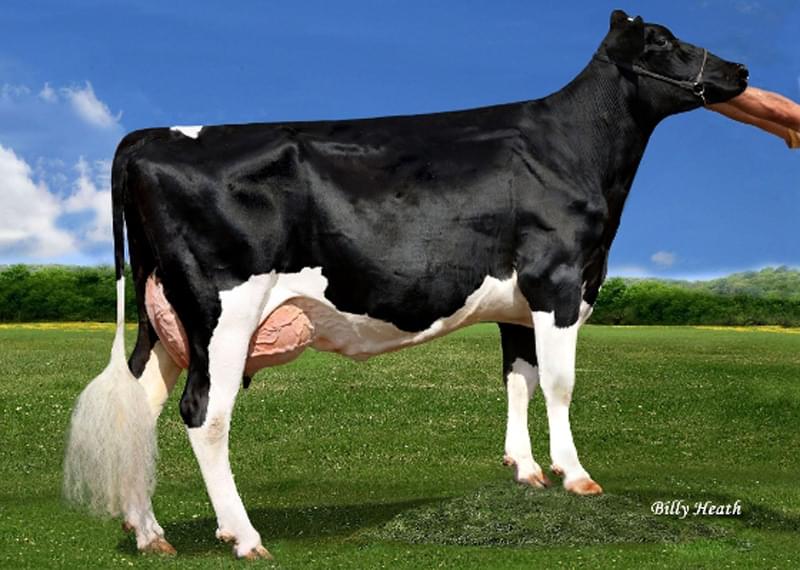 4.nesil Annesi: Pen-Col Grafetti Bell VG-87