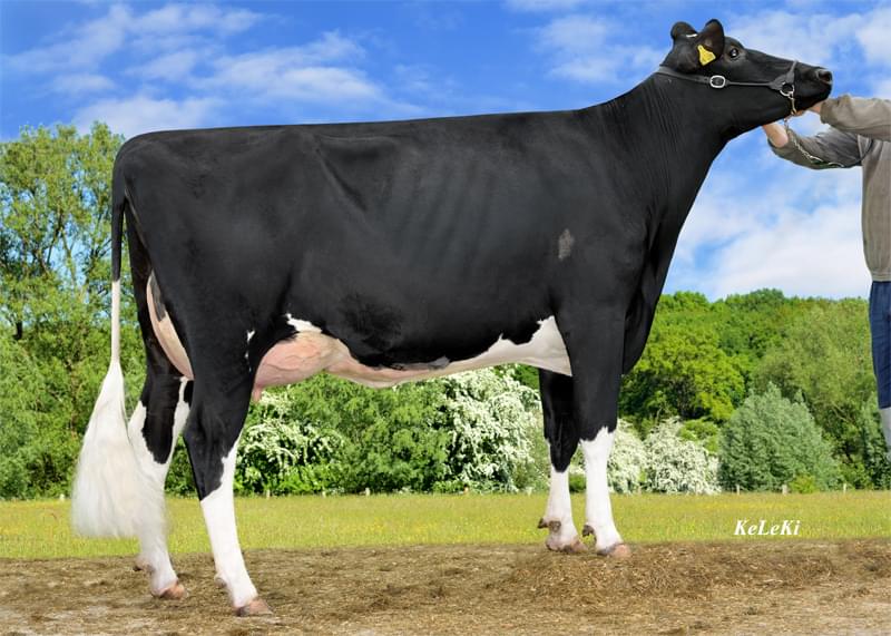 Büyükannesi: KAX Dolle VG-87