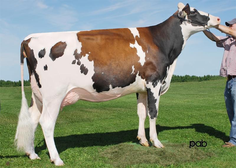 4.nesil Annesi: KHW-I Aika Baxter RDC VG-89