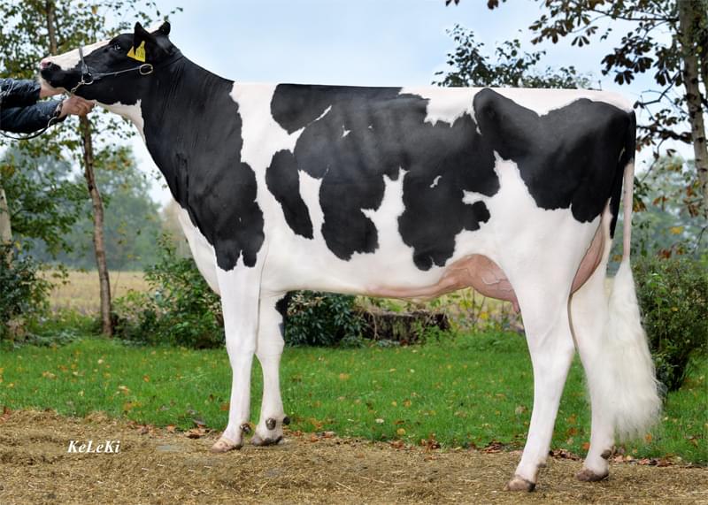 Annesi: Brigitta VG-87