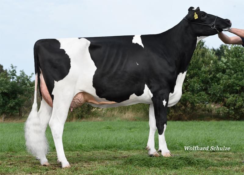 Büy.Büyükannesi: ZB Miriam VG-87