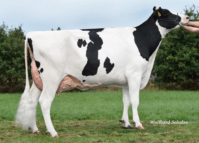 4.nesil Annesi: Mata VG-88 3.la